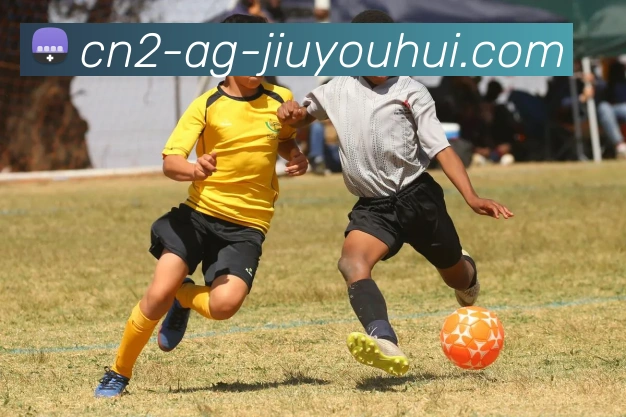 AG九游会官网品牌故事